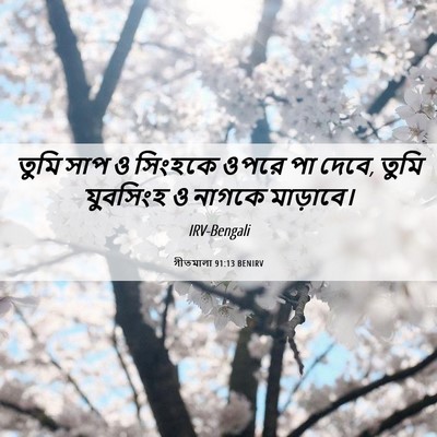 Picture 06 - গীতমালা 91:13 BENIRV - তুমি সাপ ও সিংহকে - Bible Verse Picture
