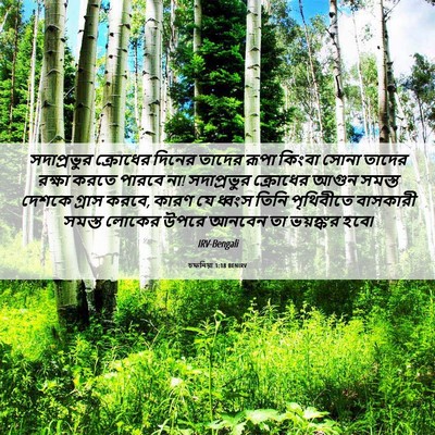 Picture 06 - চফনিয়া 1:18 BENIRV - সদাপ্রভুর ক্রোধের - Bible Verse Picture