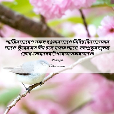 Picture 06 - চফনিয়া 2:2 BENIRV - শাস্তির আদেশ সফল - Bible Verse Picture