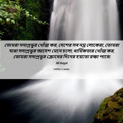Picture 06 - চফনিয়া 2:3 BENIRV - তোমরা সদাপ্রভুর - Bible Verse Picture