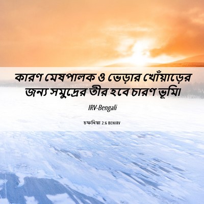 Picture 06 - চফনিয়া 2:6 BENIRV - কারণ মেষপালক ও - Bible Verse Picture
