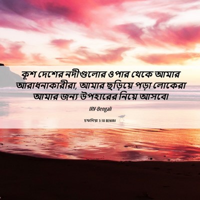 Picture 06 - চফনিয়া 3:10 BENIRV - কূশ দেশের - Bible Verse Picture