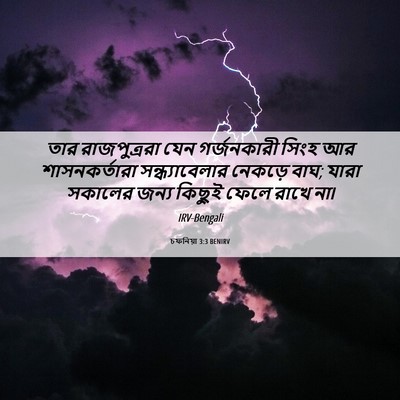 Picture 06 - চফনিয়া 3:3 BENIRV - তার রাজপুত্ররা - Bible Verse Picture