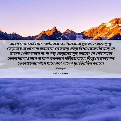Picture 06 - জখৰিয়া 11:16 BENIRV - কারণ দেখ! সেই দেশে - Bible Verse Picture