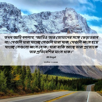 Picture 06 - জখৰিয়া 11:9 BENIRV - তখন আমি বললাম, - Bible Verse Picture