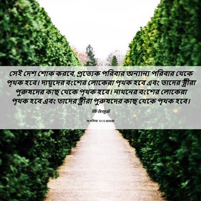 Picture 06 - জখৰিয়া 12:12 BENIRV - সেই দেশ শোক করবে, - Bible Verse Picture
