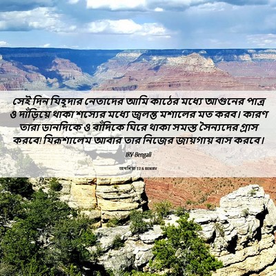 Picture 06 - জখৰিয়া 12:6 BENIRV - সেই দিন যিহূদার - Bible Verse Picture