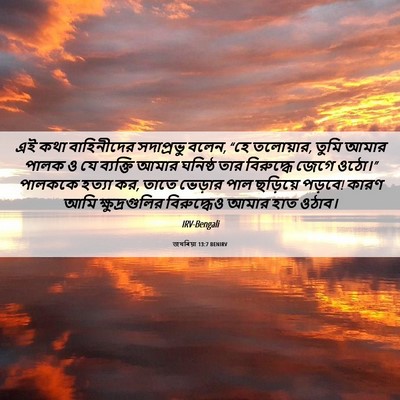 Picture 06 - জখৰিয়া 13:7 BENIRV - এই কথা বাহিনীদের - Bible Verse Picture