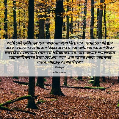 Picture 06 - জখৰিয়া 13:9 BENIRV - আমি সেই তৃতীয় - Bible Verse Picture