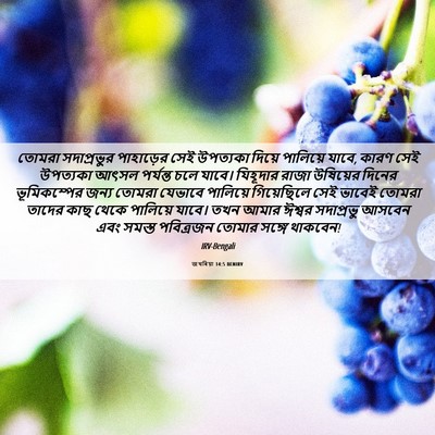 Picture 06 - জখৰিয়া 14:5 BENIRV - তোমরা সদাপ্রভুর - Bible Verse Picture