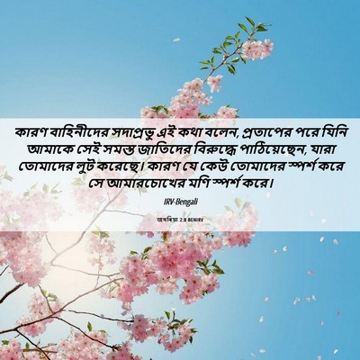 Picture 06 - জখৰিয়া 2:8 BENIRV - কারণ বাহিনীদের - Bible Verse Picture
