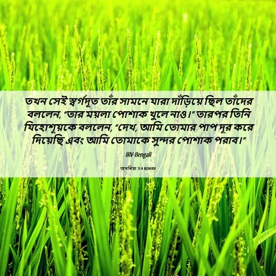 Picture 06 - জখৰিয়া 3:4 BENIRV - তখন সেই স্বর্গদূত - Bible Verse Picture