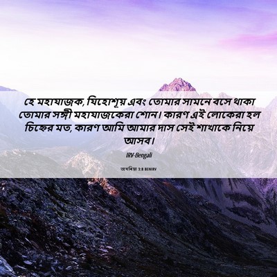 Picture 06 - জখৰিয়া 3:8 BENIRV - হে মহাযাজক, - Bible Verse Picture