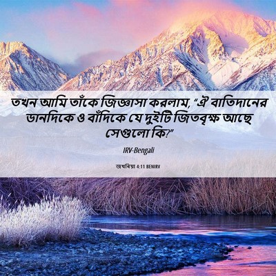 Picture 06 - জখৰিয়া 4:11 BENIRV - তখন আমি তাঁকে - Bible Verse Picture