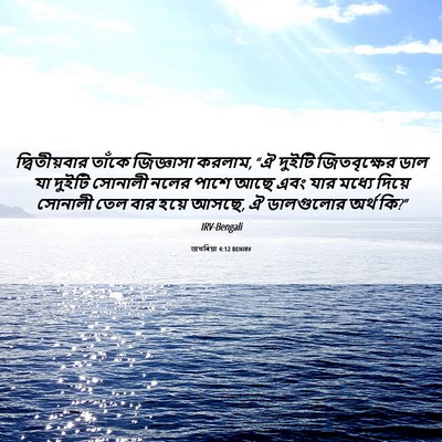 Picture 06 - জখৰিয়া 4:12 BENIRV - দ্বিতীয়বার তাঁকে - Bible Verse Picture