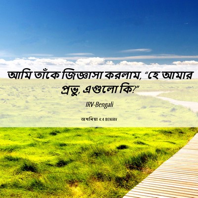 Picture 06 - জখৰিয়া 4:4 BENIRV - আমি তাঁকে - Bible Verse Picture