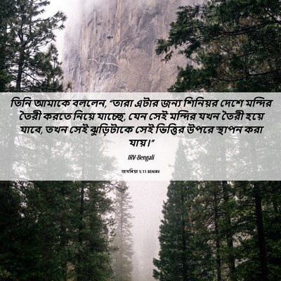 Picture 06 - জখৰিয়া 5:11 BENIRV - তিনি আমাকে বললেন, - Bible Verse Picture