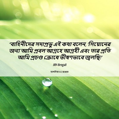 Picture 06 - জখৰিয়া 8:2 BENIRV - “বাহিনীদের - Bible Verse Picture