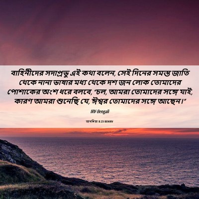 Picture 06 - জখৰিয়া 8:23 BENIRV - বাহিনীদের - Bible Verse Picture
