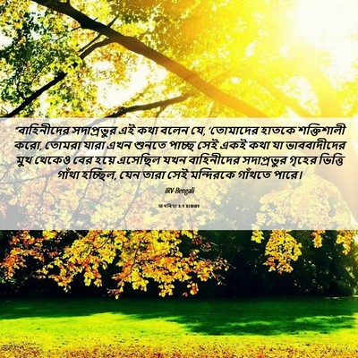 Picture 06 - জখৰিয়া 8:9 BENIRV - “বাহিনীদের - Bible Verse Picture