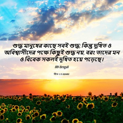Picture 06 - তীত 1:15 BENIRV - শুদ্ধ মানুষের - Bible Verse Picture
