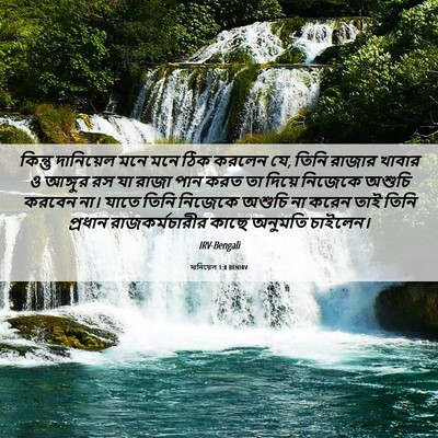 Picture 06 - দানিয়েল 1:8 BENIRV - কিন্তু দানিয়েল - Bible Verse Picture