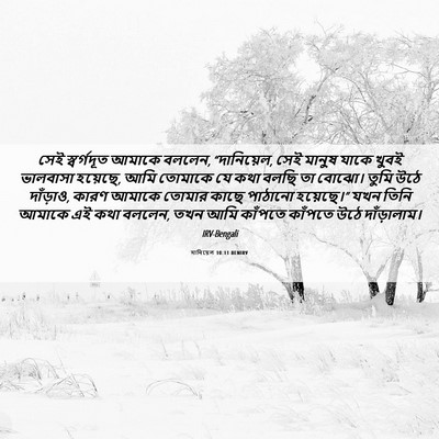 Picture 06 - দানিয়েল 10:11 BENIRV - সেই স্বর্গদূত - Bible Verse Picture