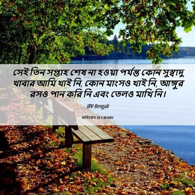 Picture 06 - দানিয়েল 10:3 BENIRV - সেই তিন সপ্তাহ শেষ - Bible Verse Picture