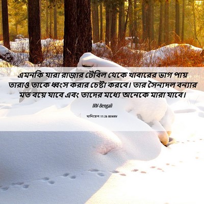 Picture 06 - দানিয়েল 11:26 BENIRV - এমনকি যারা রাজার - Bible Verse Picture