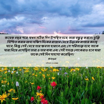 Picture 06 - দানিয়েল 11:6 BENIRV - কয়েক বছর পরে, যখন - Bible Verse Picture