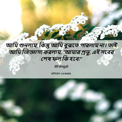 Picture 06 - দানিয়েল 12:8 BENIRV - আমি শুনলাম, কিন্তু - Bible Verse Picture