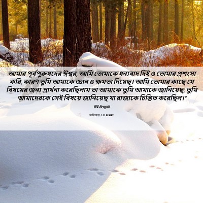 Picture 06 - দানিয়েল 2:23 BENIRV - আমার - Bible Verse Picture