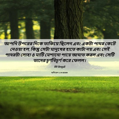 Picture 06 - দানিয়েল 2:34 BENIRV - আপনি উপরের দিকে - Bible Verse Picture