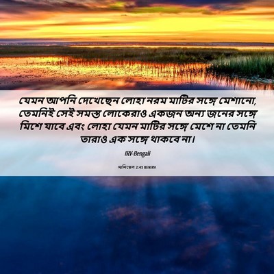 Picture 06 - দানিয়েল 2:43 BENIRV - যেমন আপনি দেখেছেন - Bible Verse Picture