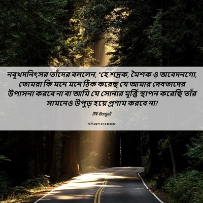 Picture 06 - দানিয়েল 3:14 BENIRV - নবূখদনিৎসর তাঁদের - Bible Verse Picture