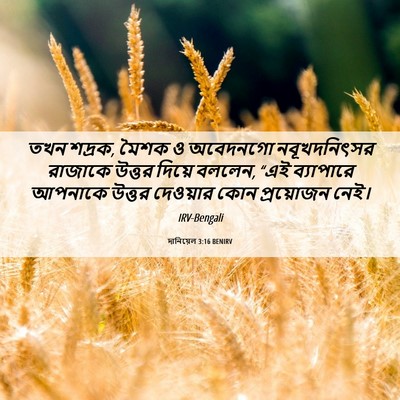 Picture 06 - দানিয়েল 3:16 BENIRV - তখন শদ্রক, মৈশক ও - Bible Verse Picture