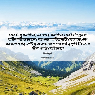 Picture 06 - দানিয়েল 4:22 BENIRV - সেই গাছ আপনিই, - Bible Verse Picture
