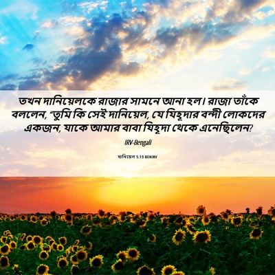 Picture 06 - দানিয়েল 5:13 BENIRV - তখন দানিয়েলকে - Bible Verse Picture