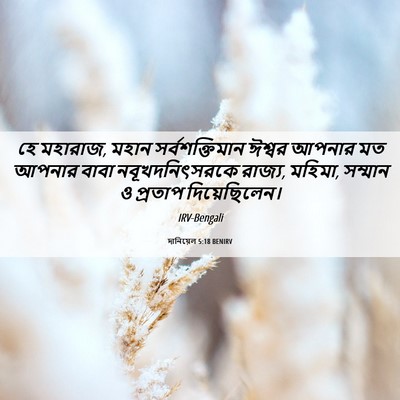 Picture 06 - দানিয়েল 5:18 BENIRV - হে মহারাজ, মহান - Bible Verse Picture