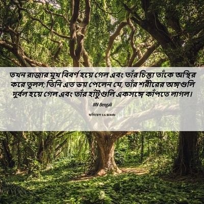 Picture 06 - দানিয়েল 5:6 BENIRV - তখন রাজার মুখ - Bible Verse Picture