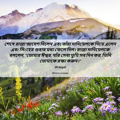 Picture 06 - দানিয়েল 6:16 BENIRV - শেষে রাজা আদেশ - Bible Verse Picture