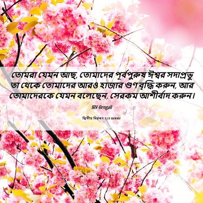 Picture 06 - দ্বিতীয় বিৱৰণ 1:11 BENIRV - তোমরা যেমন আছ, - Bible Verse Picture