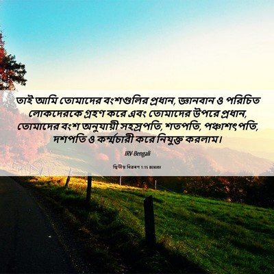 Picture 06 - দ্বিতীয় বিৱৰণ 1:15 BENIRV - তাই আমি তোমাদের - Bible Verse Picture