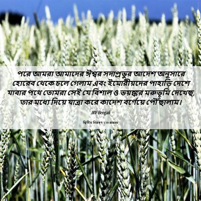 Picture 06 - দ্বিতীয় বিৱৰণ 1:19 BENIRV - পরে আমরা আমাদের - Bible Verse Picture