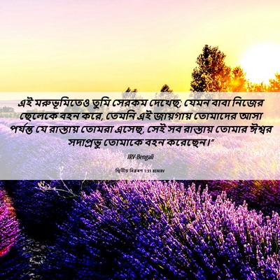 Picture 06 - দ্বিতীয় বিৱৰণ 1:31 BENIRV - এই মরুভূমিতেও - Bible Verse Picture