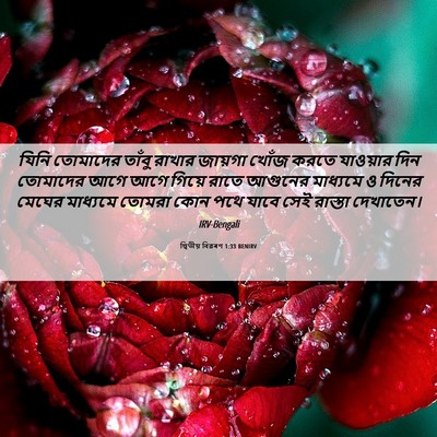 Picture 06 - দ্বিতীয় বিৱৰণ 1:33 BENIRV - যিনি তোমাদের - Bible Verse Picture