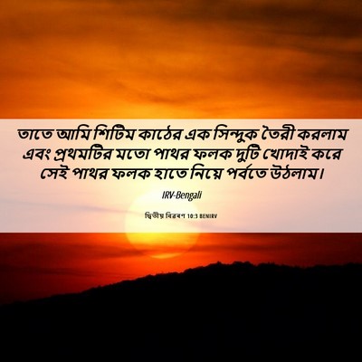 Picture 06 - দ্বিতীয় বিৱৰণ 10:3 BENIRV - তাতে আমি শিটিম - Bible Verse Picture