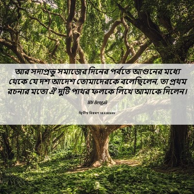 Picture 06 - দ্বিতীয় বিৱৰণ 10:4 BENIRV - আর সদাপ্রভু - Bible Verse Picture