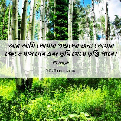 Picture 06 - দ্বিতীয় বিৱৰণ 11:15 BENIRV - আর আমি তোমার - Bible Verse Picture