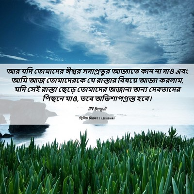 Picture 06 - দ্বিতীয় বিৱৰণ 11:28 BENIRV - আর যদি তোমাদের - Bible Verse Picture